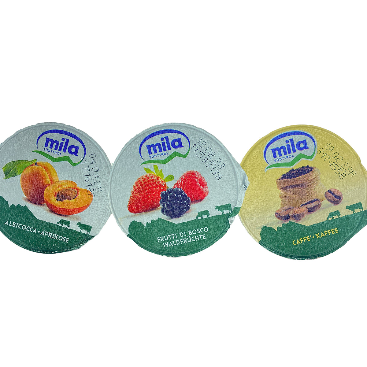 Yogurt (Mila/Milk ?): normale vari gusti