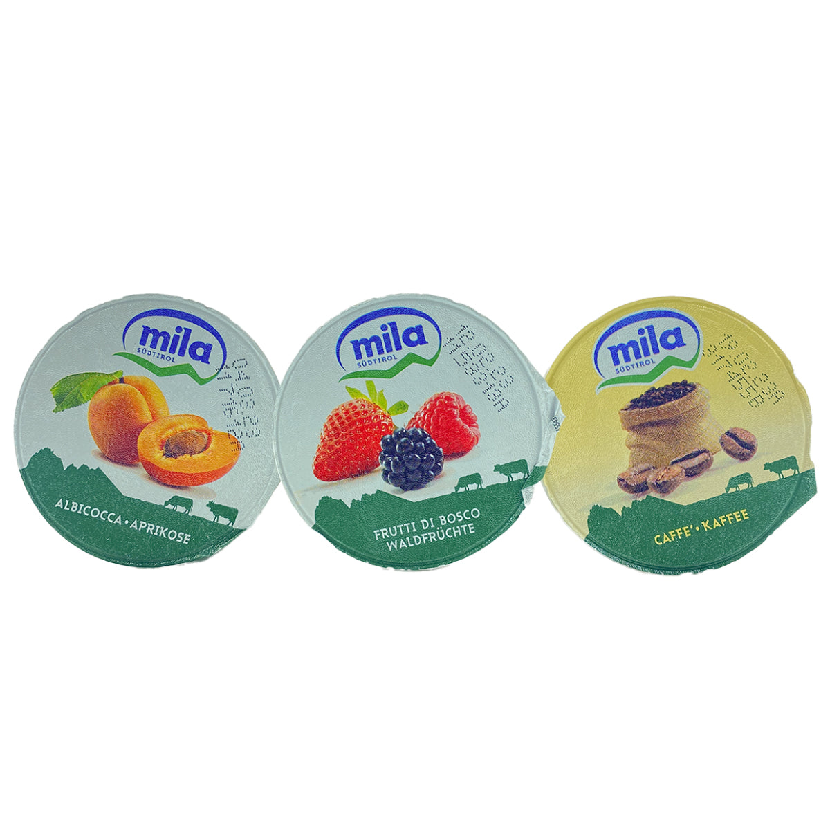 Yogurt (Mila/Milk ?): normale vari gusti